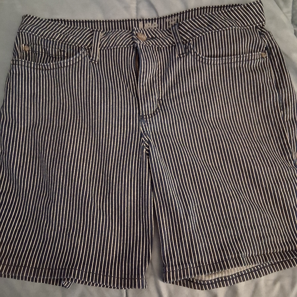 Lee Navy and White Striped Trousers
